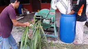 Masukan cingcangan pohon talas kedalam ember dan campurkan dengan beras dolog, dedak, dan tepung tulang. Cara2 Membuat Dedak Ayam Pallet Youtube