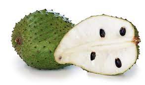 Graviola (botanical name annona muricata) is an undersized, erect tree growing up to a height of 5 meters to 6 meters. Soursop Where To Buy Soursop Guyabano Graviola Juice Tea Leaves