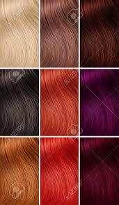 Vous avez les yeux noisette et le teint clair si vous avez la peau claire et les cheveux naturellement châtains, tous les tons chauds et cuivrés sont. Exemple De Differentes Couleurs De Cheveux Banque D Images Et Photos Libres De Droits Image 24400649