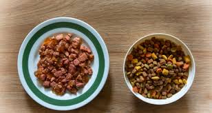 Maybe you would like to learn more about one of these? Dry Semi Moist Or Canned What Type Of Food Is Best For Your Pet Petcoach