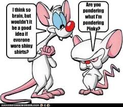 Pinky And The Brain Pinky Are You Pondering What I M Pondering Pinky Animaniacs Cartoon Wallpaper