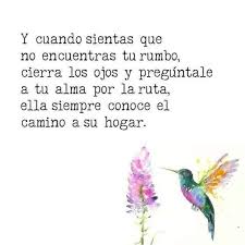 Biografia De San Francisco De Asis Corta Frases De San Francisco De Asis Pensamientos Reflexiones Y Oraciones Obras Y Biografia Brev En 2020 Frases De Motivacion Cortas Frases Naturaleza Guias Espirituales