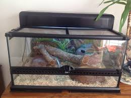 12x12x16cm reptile heat lamp light bulb mesh cage guard enclosure snake. Corn Snake Plus Vivarium Eastleigh Hampshire Pets4homes