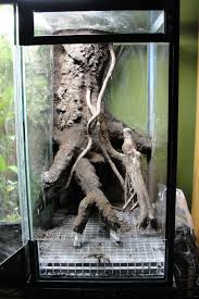 20h Vertical Vivarium Journal Frog Terrarium Reptile Terrarium Vivarium