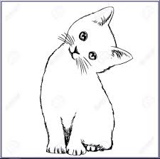 66 gambar sketsa hewan terlengkap 2019 marimewarnai com. Kumpulan Sketsa Gambar Kucing Hingga Cara Menggambarnya