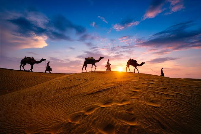 Jaisalmer Travel Guide: Explore Rajasthan's Golden City Like A Local