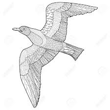 ✓ free for commercial use ✓ high quality images. Flying Seagull With High Details Adult Antistress Coloring Page Royalty Free Cliparts Vectors And Stock Illustration Image 49819673