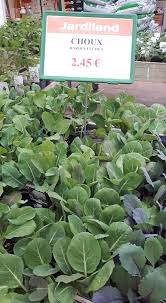 Serres de gouaix romilly : Jardiland Disponible Chez Jardiland Romilly Sur Seine Facebook