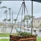 Indoor / Outdoor Hanging Plant Workshop