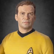 Image result for captain kirk