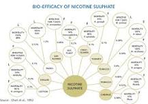 Nicotine Sulphate 40% (C10H14N2)2H2SO4