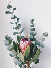 Latest Images Bridal Flowers Protea Concepts Protea Flower Artificial Flowers Small Wedding Bouquets