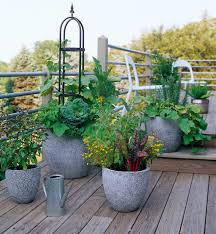 Maybe you would like to learn more about one of these? Fresh Ideas For Growing Vegetables In Containers Better Homes Gardens