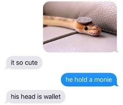 29 Wholesome Memes And Comics To Brighten Your Day Cute Reptiles Cute Animals Cute Funny Animals