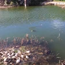 Les tapas sont excellents, le service est rapide. Les Jardins De Madeleine Home Facebook