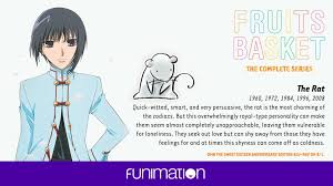 Fruits Basket Social Rat Fruits Basket Fruit Basket Fruit