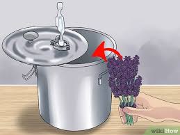 Le procedure fatte in casa per preparare oli essenziali che troviamo su internet non sembrano veri oli essenziali. Come Produrre Oli Essenziali Con Immagini Wikihow