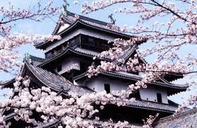 Résultat de recherche d'images pour "cerisier japonais"