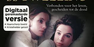 Tweeling, De (Remastered) (Blu-ray)