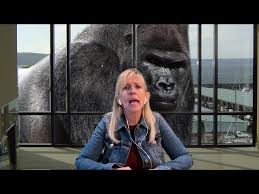 Funny zoom virtual backgrounds are an easy way to keep things fun during video calls. Zoom Virtual Backgrounds Youtube