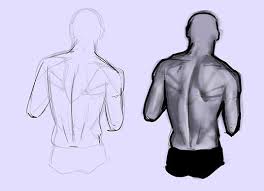 This lesson covers the erector last time we learned the anatomical details of the lower back muscles. How To Draw The Human Back A Step By Step Construction Guide Gvaat S Workshop