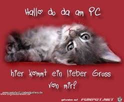 Hab Dich Lieb Dog Snacks Animals Animals And Pets