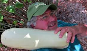 Keeping Vashon Neighborly