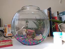 I M Taking Care Of A Friend S Betta Fish For A Few Days Is This Tank Too Small I M Not Too Experienced With Fish Shittyaquariums