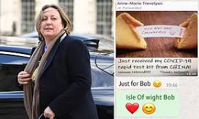 Rapid antigen test from bd, musk tweeted out, sending. Cabinet Minister Anne Marie Trevelyan Under Fire For Sharing Racist Meme Daily Mail Online