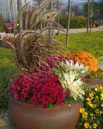 Add soil and bulbs, such as hyacinths and tulips, in the fall to your. Fall Container Ideas Diy