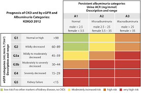 Limit your milk and dairy intake. The Detection And Management Of Patients With Chronic Kidney Disease In Primary Care Bpj66