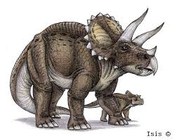 Triceratops By Isismasshiro On Deviantart Dinosaur Art Prehistoric Animals Dinosaur