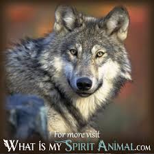 Check spelling or type a new query. Dreams About Wolves Wolf Dream Meaning Animal Dream Dictionary