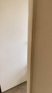 Is Your Cat Possessed Video In 2020 Cute Cat Memes Funny Cats And Dogs Funny Cat Pictures