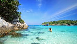 Kết quả hình ảnh cho sao bieenr