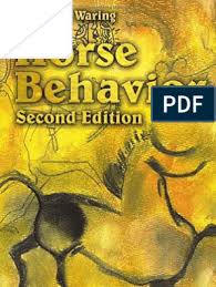 One day, dr treves saw a picture in a sbop near tbe bospital. Horse Behavior Equus Genus Horses