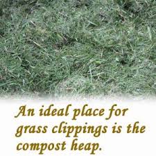 Moreover, seeing that grains sprout from the soil as well, moldy bread can be composted too. Can I Put Moldy Food In Compost Rolypig