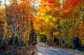nature wallpapers wallpaperup nature wallpapers wallpaperup
