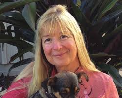 KMN working file 07/2015.indd