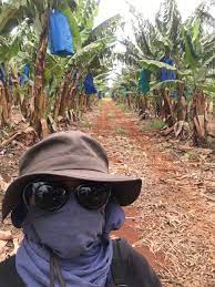 Program selama ini, yang dikenal dengan visa 457 saya mulai bekerja di australia tahun 2006 dengan visa 457 berdasarkan migration occupations in demand list (modl) atau daftar. Butuh Kerja Keras Untuk Bisa Tinggal Lebih Lama Di Australia