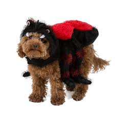 Shop with afterpay on eligible items. Pets At Home Unveils Halloween Costume Range For Dogs Coventrylive