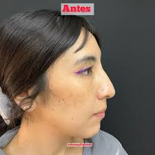 Dra. María del Pilar Alemán