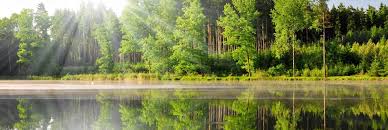 See some of our amazing natural wonders. Czech Republic Preferred By Nature Global