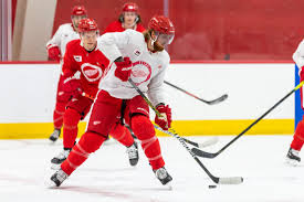 The detroit red wings are a professional ice hockey team based in detroit, michigan. Detroit Red Wings Already Look Bigger Meaner Thanks To Marc Staal
