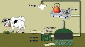 Bakteri pembentuk asam antara lain pseudomonas, escherichia, flavobacterium, danalcaligens. Kunci Jawaban Tema 6 Kelas 3 Sd Mi Soal Halaman 144 Berikan 2 Contoh Hambatan Menggunakan Biogas Tribunnewsmaker Com