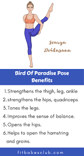 How To Do Bird Of Paradise Pose And Benefits Yoga Information Bird Of Paradise Pose Workout For Beginners
