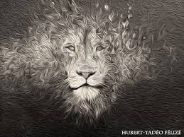 Lion Jpg Digital Arts By Hubert Tadeo Felize Artmajeur Pour les articles ayant des titres homophones, voir lions, lyon et lyons. usd