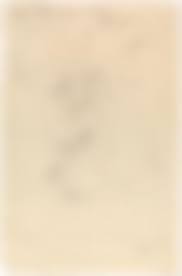 Image result for Discopodium penninervium