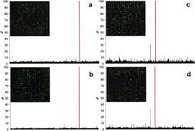 The most extensively studied form of rna editing involves the adar protein. A Human Protein Atlas For Normal And Cancer Tissues Based On Antibody Proteomics Sciencedirect