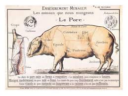 Cuts Of Pork Illustration From A French Domestic Science Manual By H De Puytorac 19th Century